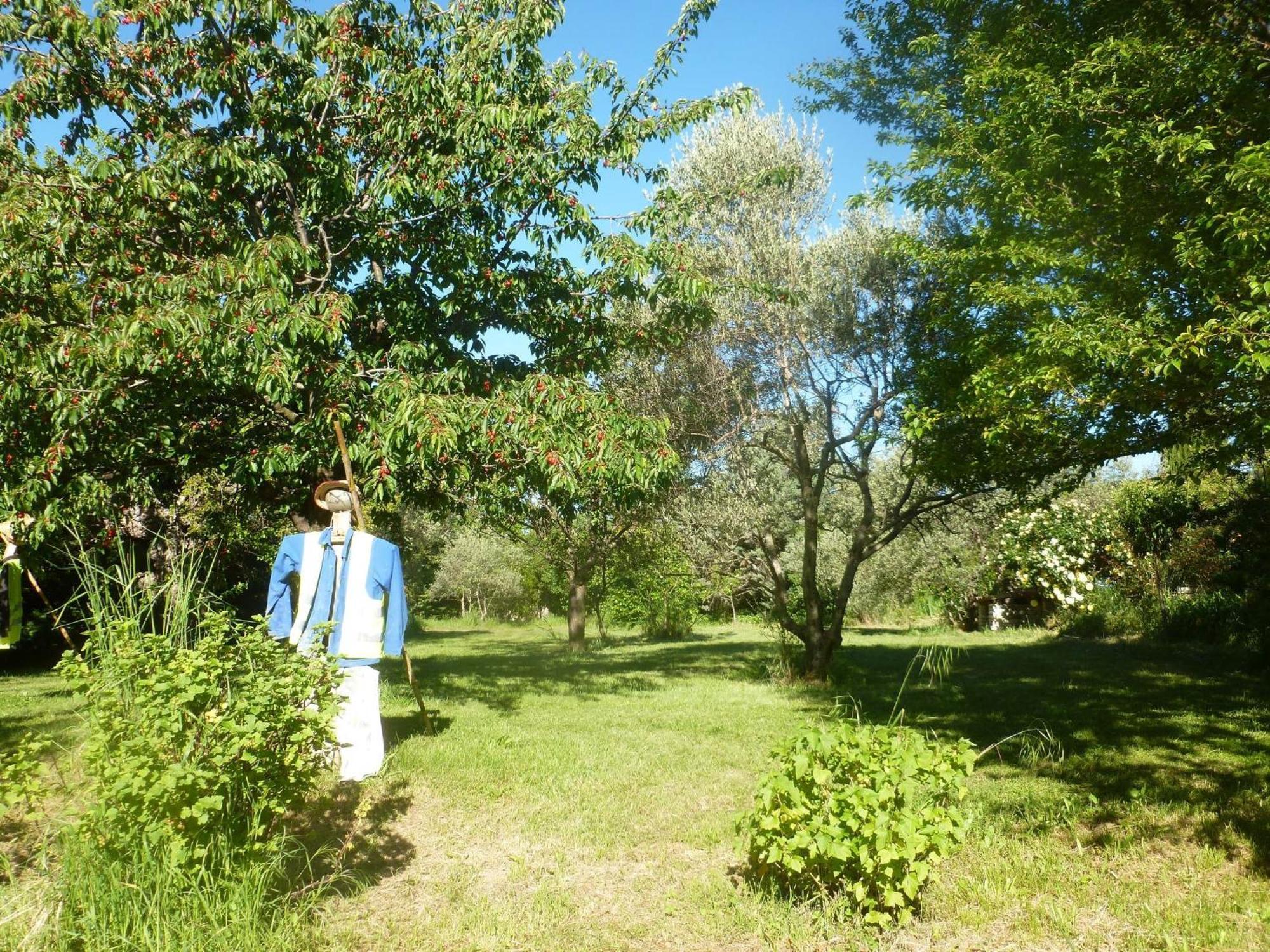 Campagne De Pre Grand Bed & Breakfast Saint-Etienne-les-Orgues ภายนอก รูปภาพ