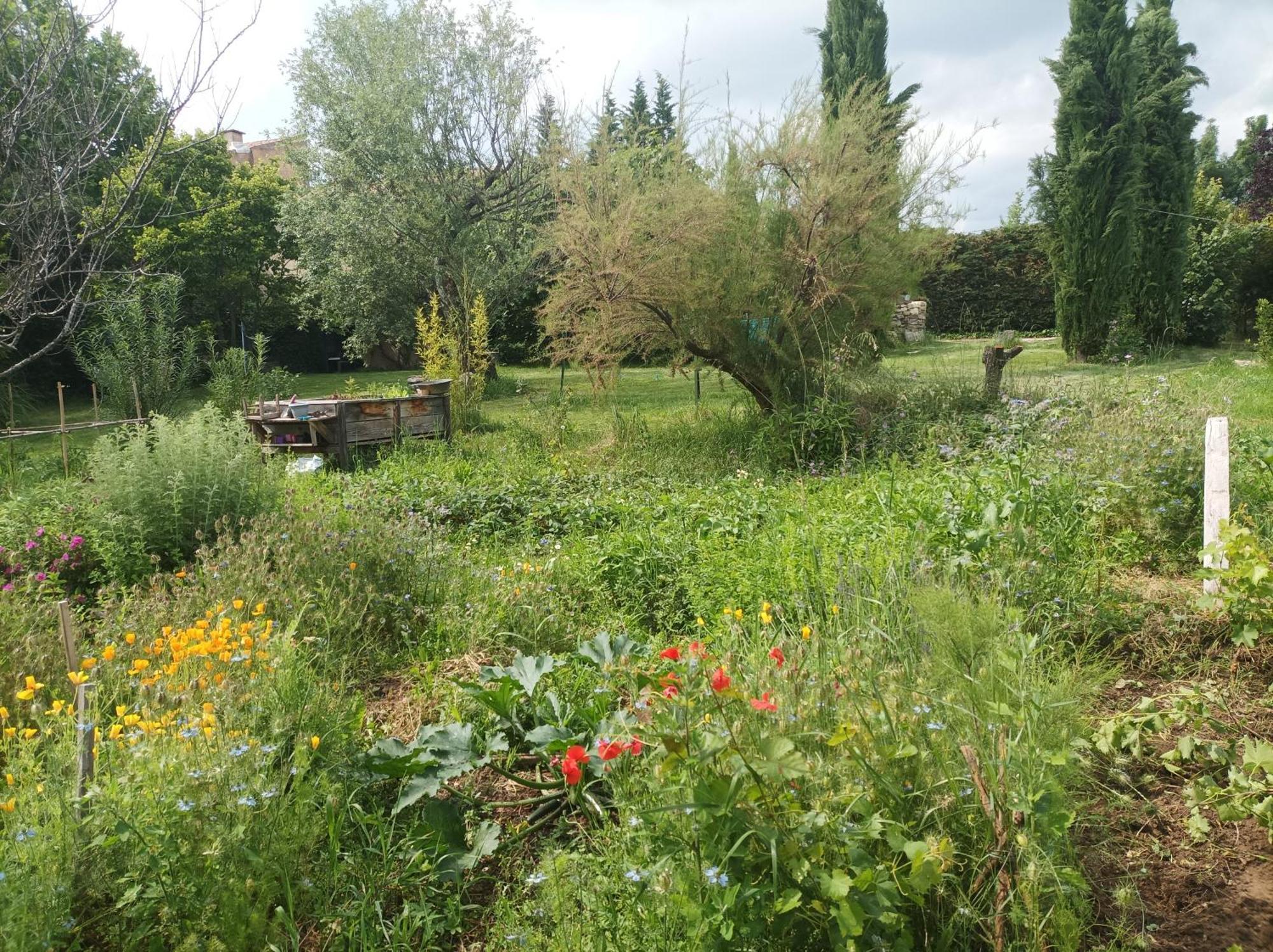 Campagne De Pre Grand Bed & Breakfast Saint-Etienne-les-Orgues ภายนอก รูปภาพ